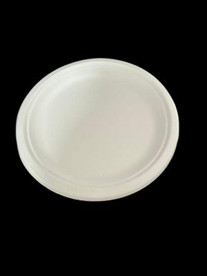 Bagasse 9" Round Plate
