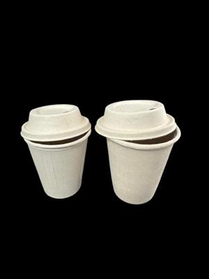 Bagasse Cups with lid 8 oz & 12 oz.