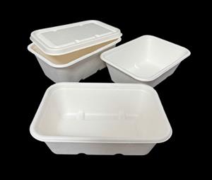 Bagasse Rectangle White 650,750,1000ML