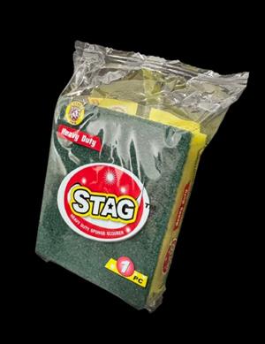 Stag Sponge 2 in 1